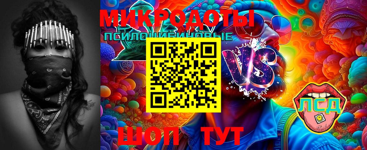 Галлюциногенные грибы ЛСД  Псилоцибиновые грибы Psilocybine cubensis  Раменское 