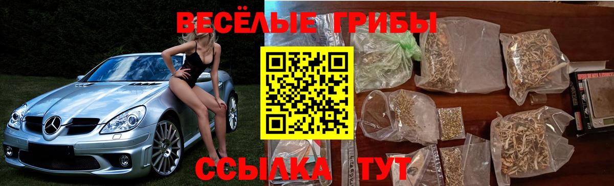 Псилоцибиновые грибы ЛСД Раменское